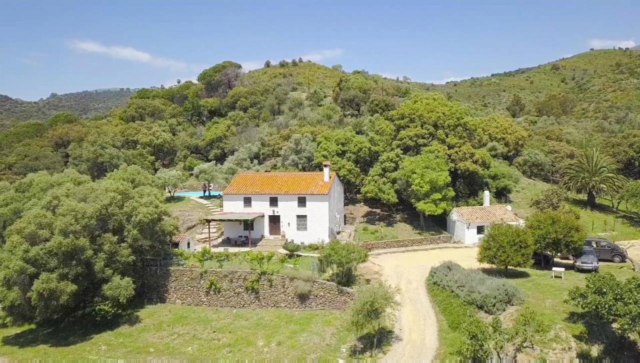 Finca Sta Teresa, Casa Grande 埃斯特波纳 外观 照片