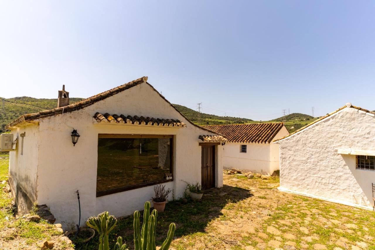 Finca Sta Teresa, Casa Grande 埃斯特波纳 外观 照片