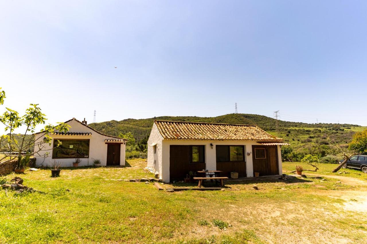 Finca Sta Teresa, Casa Grande 埃斯特波纳 外观 照片