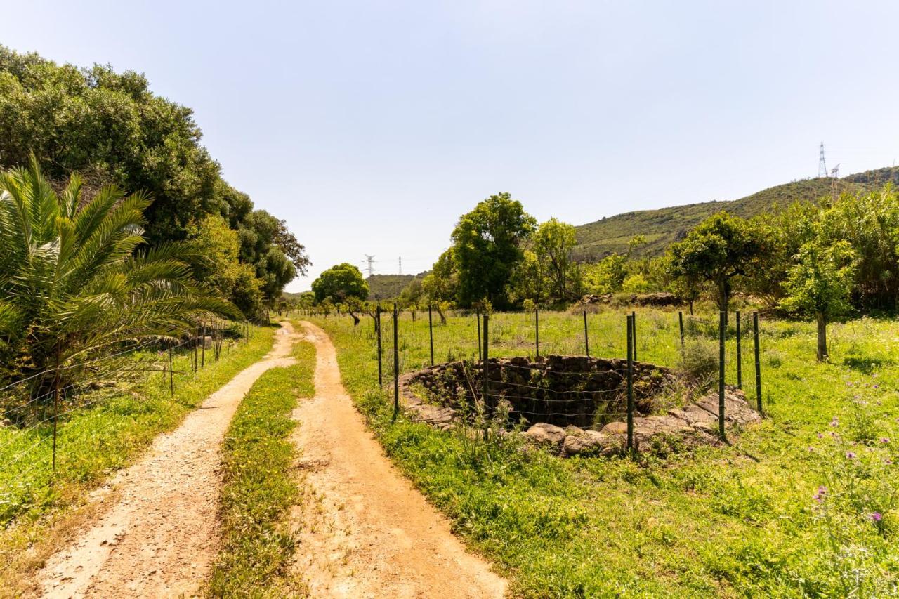 Finca Sta Teresa, Casa Grande 埃斯特波纳 外观 照片