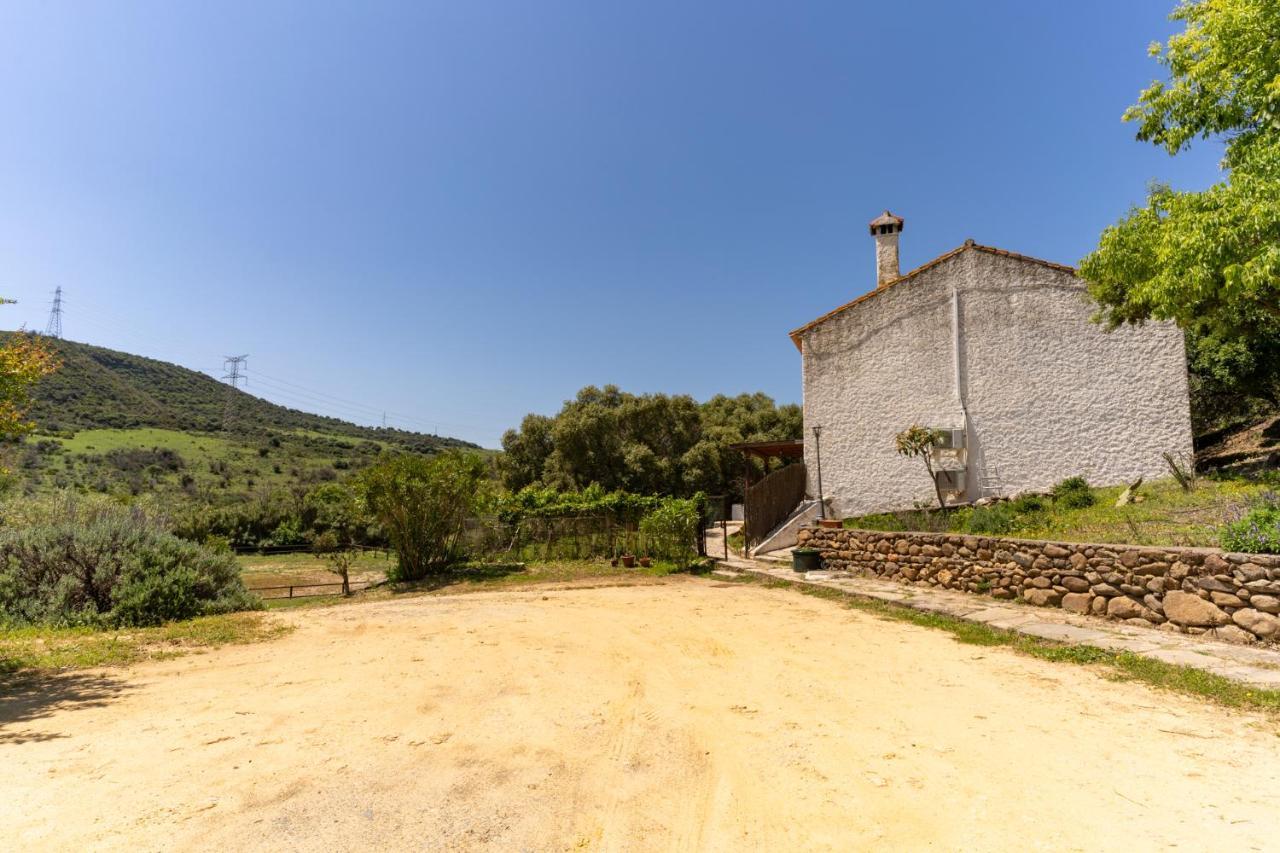 Finca Sta Teresa, Casa Grande 埃斯特波纳 外观 照片