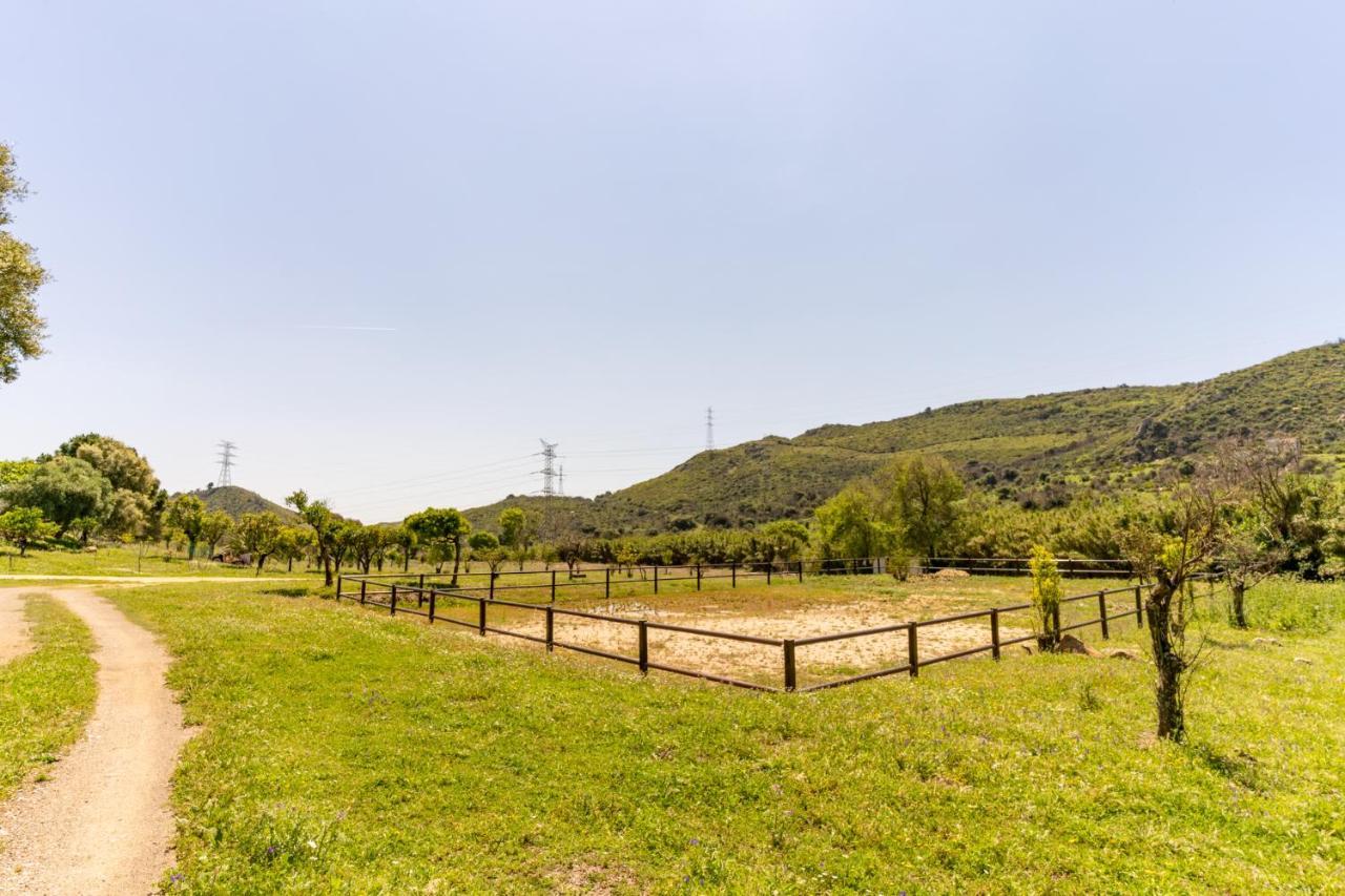 Finca Sta Teresa, Casa Grande 埃斯特波纳 外观 照片