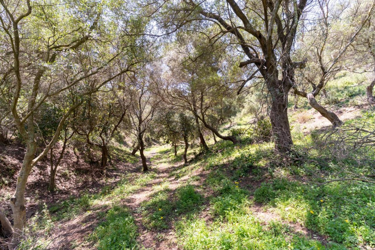 Finca Sta Teresa, Casa Grande 埃斯特波纳 外观 照片