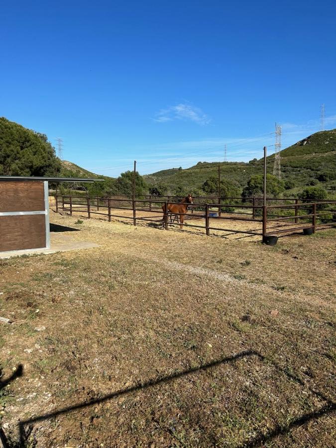 Finca Sta Teresa, Casa Grande 埃斯特波纳 外观 照片