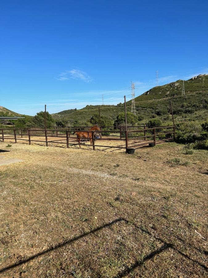 Finca Sta Teresa, Casa Grande 埃斯特波纳 外观 照片